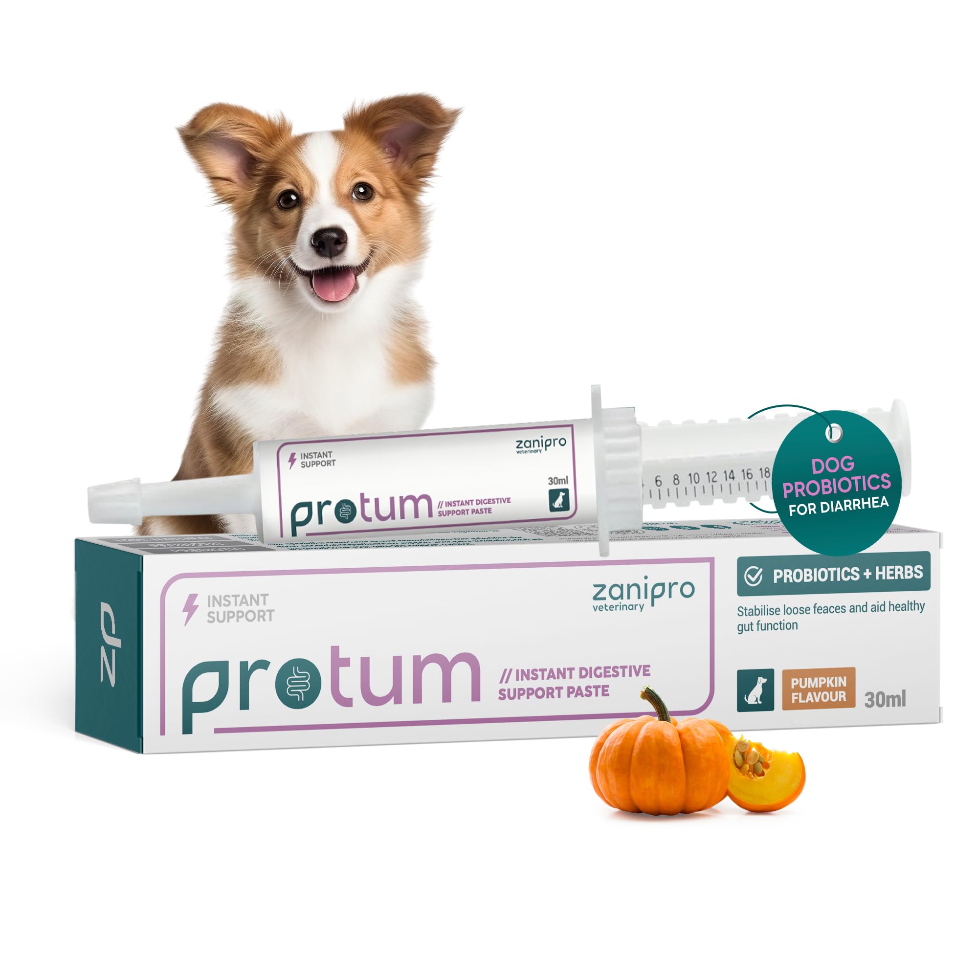 ホルモン　prooo ピスタチオ Zanipro Pasta probiótica Protum para Perros - 30 ml. Fórmula
